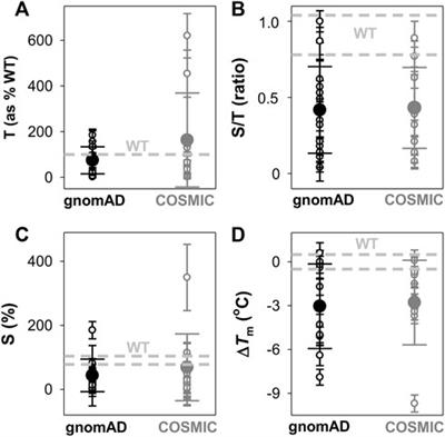 Effect of naturally-occurring mutations on the stability and function of cancer-associated NQO1: Comparison of experiments and computation